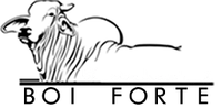 Logo Boi Forte